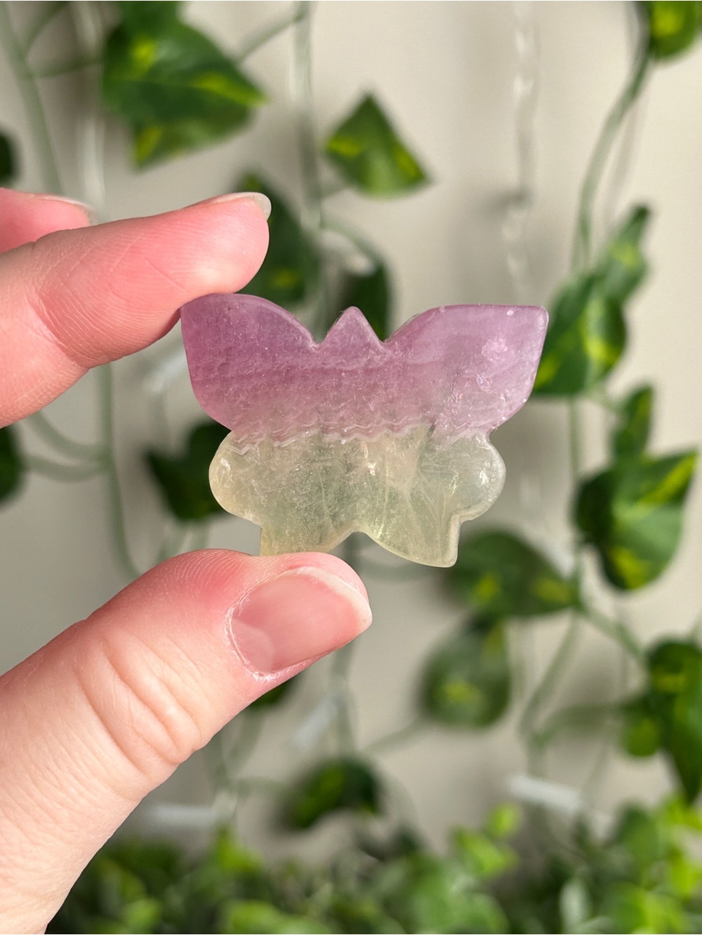Fluorite Butterfly Carving E